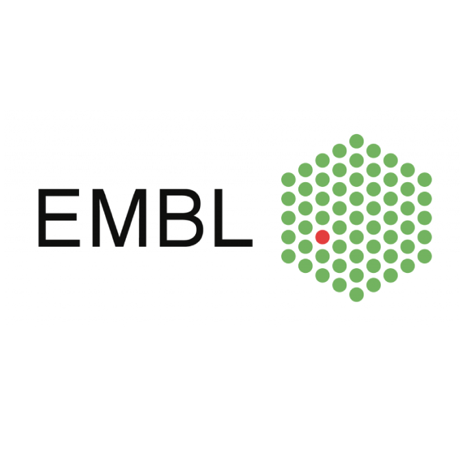 embl square